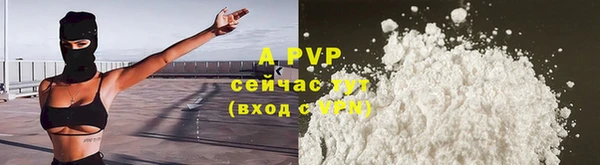 крисы Кодинск
