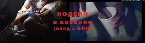 крисы Кодинск