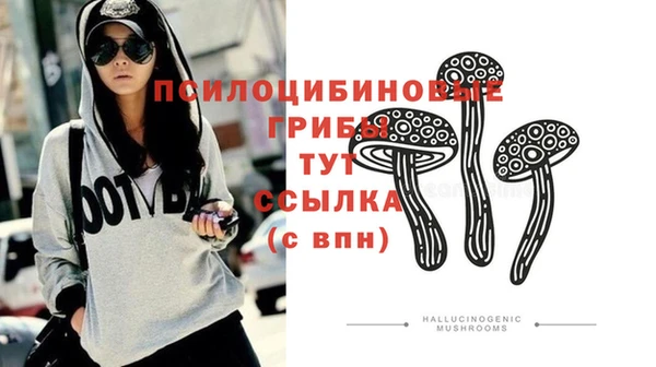 крисы Кодинск