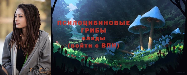 a pvp Козельск