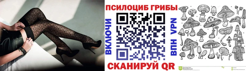 Купить  Дегтярск  Псилоцибиновые грибы Psilocybe 